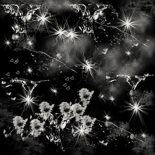 Image Only