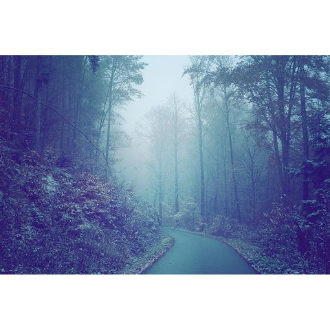 Blue Woods Misty Way Black Modern Wood Framed Art Print with Double Matting by Jenny Rainbow Fine Art