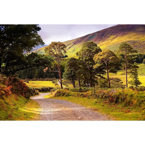 Celtic Spirit in Wicklow Mountains Ireland Gold Ornate Wood Framed Art Print with Double Matting by Jenny Rainbow Fine Art