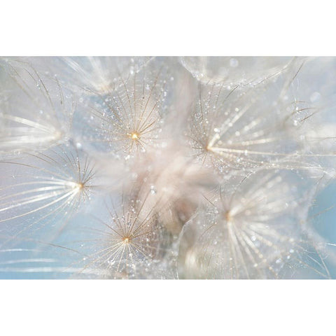 Ethereal Lightness White Modern Wood Framed Art Print by Jenny Rainbow Fine Art