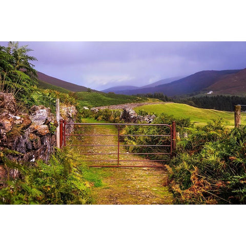 Gates on the Road at Wicklow Hills Ireland Gold Ornate Wood Framed Art Print with Double Matting by Jenny Rainbow Fine Art