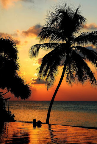 Maldives Dream Comes True 1 Black Ornate Wood Framed Art Print with Double Matting by Jenny Rainbow Fine Art