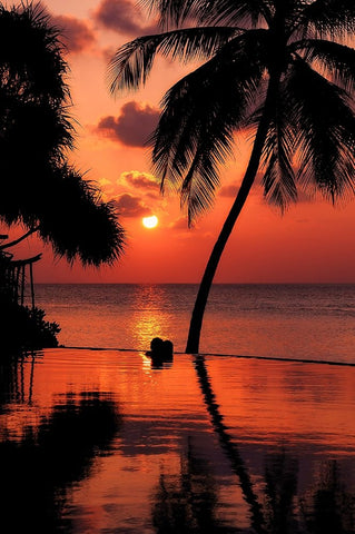 Maldives Dream Comes True 2 Black Ornate Wood Framed Art Print with Double Matting by Jenny Rainbow Fine Art