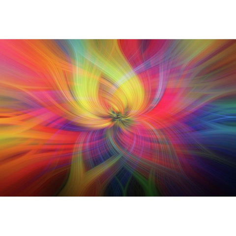 Mystery of Colors Rainbow Flower Black Modern Wood Framed Art Print with Double Matting by Jenny Rainbow Fine Art