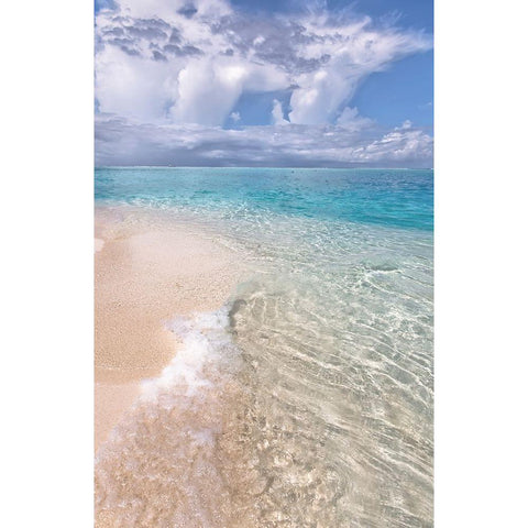 Natural Wonder Maldives Black Modern Wood Framed Art Print with Double Matting by Jenny Rainbow Fine Art