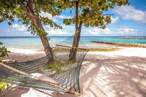 Rest in the Shadow White Modern Wood Framed Art Print with Double Matting by Jenny Rainbow Fine Art