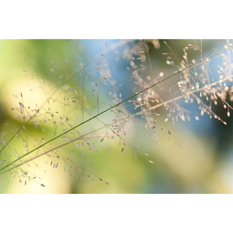 The Beauty of the Earth White Modern Wood Framed Art Print by Jenny Rainbow Fine Art