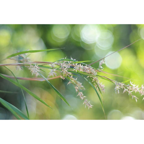 Waterfall of Lights White Modern Wood Framed Art Print by Jenny Rainbow Fine Art