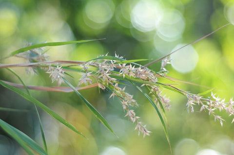 Waterfall of Lights White Modern Wood Framed Art Print with Double Matting by Jenny Rainbow Fine Art