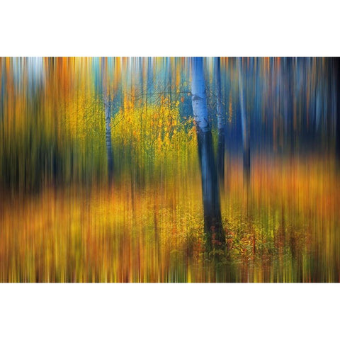 In the Golden Woods Impressionism Black Modern Wood Framed Art Print with Double Matting by Jenny Rainbow Fine Art