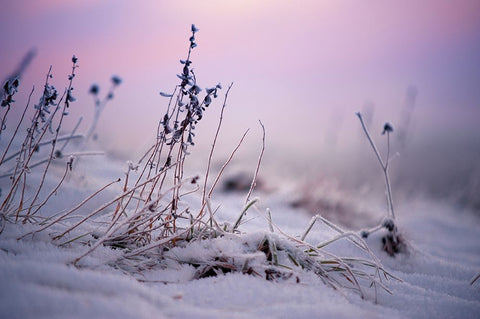 Magic Winter Moments 1 White Modern Wood Framed Art Print with Double Matting by Jenny Rainbow Fine Art