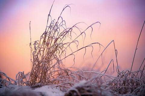 Magic Winter Moments 3 White Modern Wood Framed Art Print with Double Matting by Jenny Rainbow Fine Art