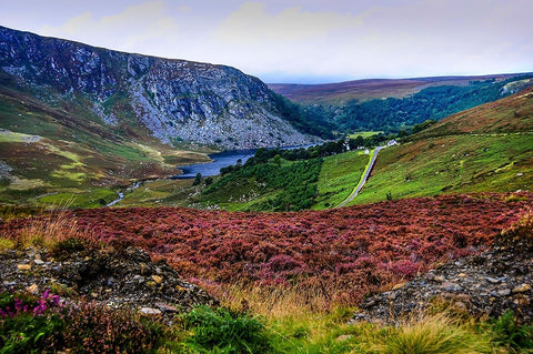 Multicolored Carpet of Wicklow Hills Black Ornate Wood Framed Art Print with Double Matting by Jenny Rainbow Fine Art