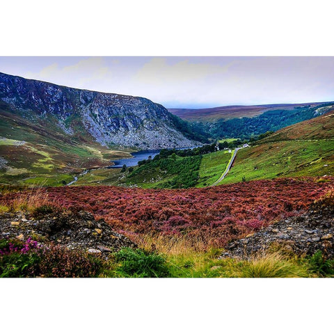 Multicolored Carpet of Wicklow Hills Black Modern Wood Framed Art Print with Double Matting by Jenny Rainbow Fine Art