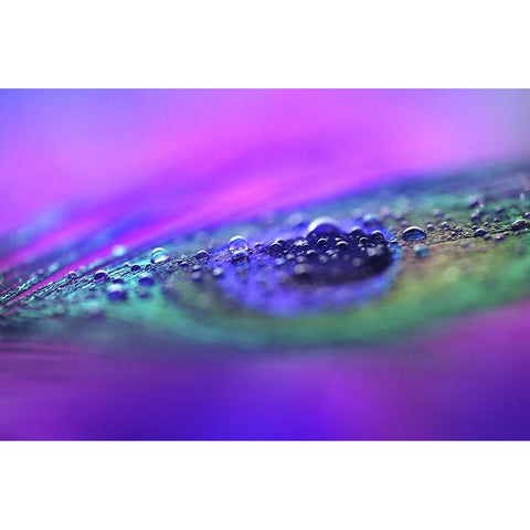 Peacock Diamonds Black Modern Wood Framed Art Print by Jenny Rainbow Fine Art