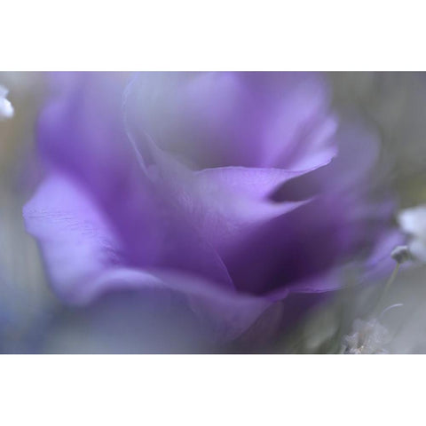 Purple Ethereal Breath White Modern Wood Framed Art Print by Jenny Rainbow Fine Art