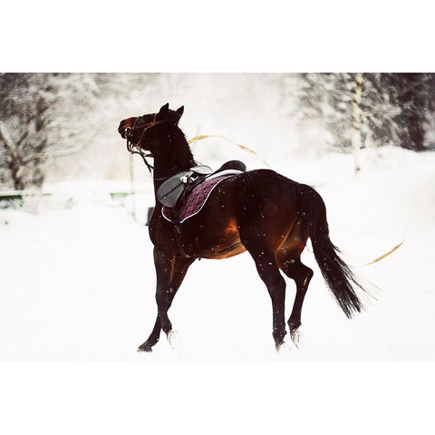 Race in the Snow Black Modern Wood Framed Art Print with Double Matting by Jenny Rainbow Fine Art