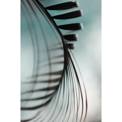 Shadow Twist Black Modern Wood Framed Art Print with Double Matting by Jenny Rainbow Fine Art