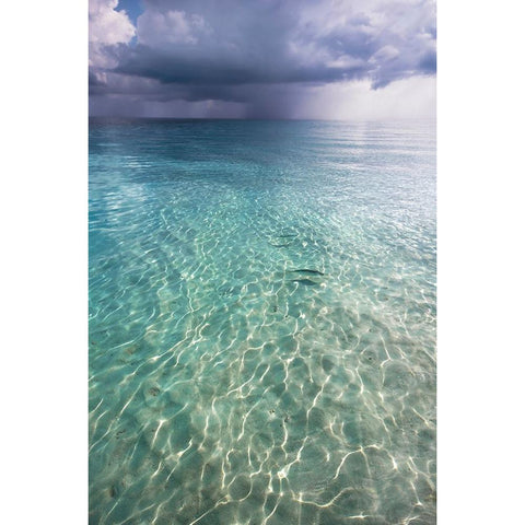 Somewhere is Rainy Black Modern Wood Framed Art Print by Jenny Rainbow Fine Art