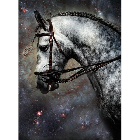 The Horse Among the Stars Black Modern Wood Framed Art Print with Double Matting by Jenny Rainbow Fine Art