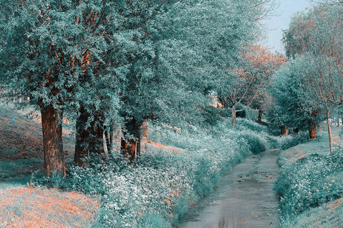 The Time Goes By Black Ornate Wood Framed Art Print with Double Matting by Jenny Rainbow Fine Art