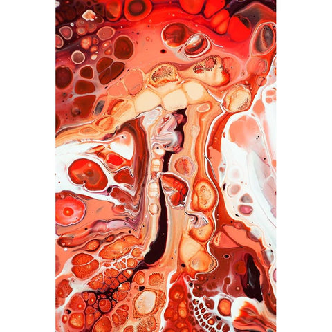 Fluid Acrylic Coral Reefs 2 White Modern Wood Framed Art Print by Jenny Rainbow Fine Art