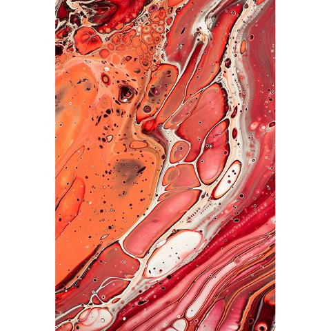 Fluid Acrylic Unknown Taste 7 Black Modern Wood Framed Art Print with Double Matting by Jenny Rainbow Fine Art