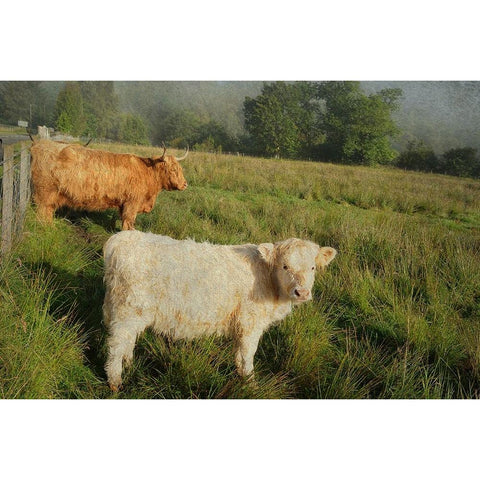 Essential Rural Life White Modern Wood Framed Art Print by Jenny Rainbow Fine Art