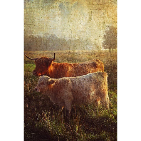 Highlanders Black Modern Wood Framed Art Print with Double Matting by Jenny Rainbow Fine Art