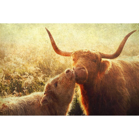 Mammy Love White Modern Wood Framed Art Print by Jenny Rainbow Fine Art