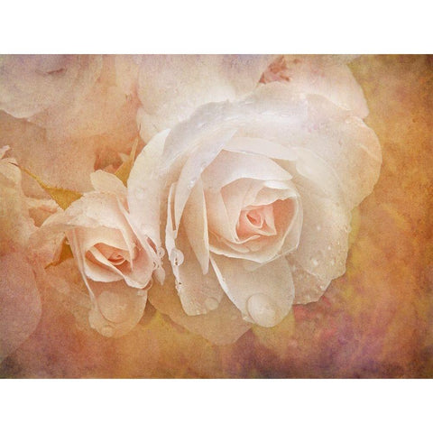 Rose Orange 4 Gold Ornate Wood Framed Art Print with Double Matting by Schell, Jennie Marie