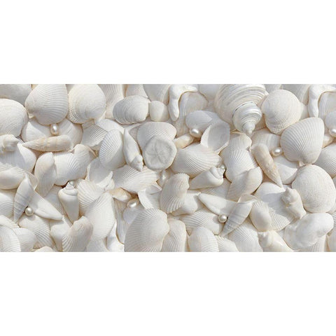 Seashells 2 Black Modern Wood Framed Art Print by Schell, Jennie Marie