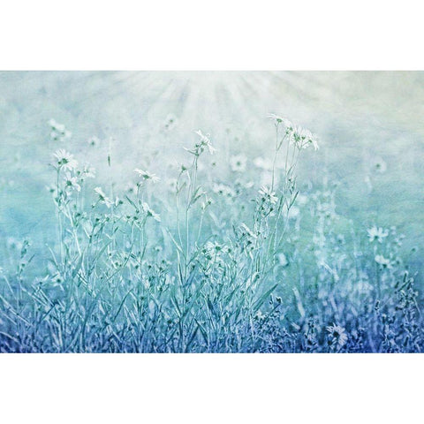 Blue Flower Meadow White Modern Wood Framed Art Print by Schell, Jennie Marie