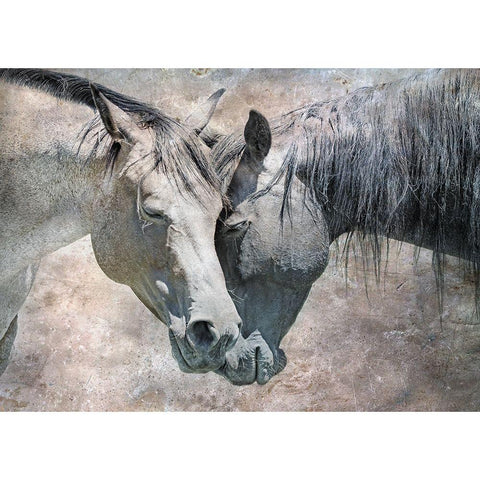 Horse Love Rustic White Modern Wood Framed Art Print by Schell, Jennie Marie