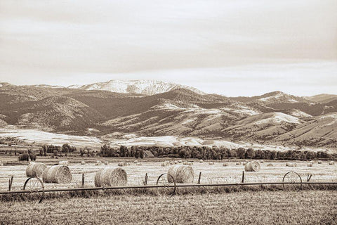 Montana Hayfield Black Ornate Wood Framed Art Print with Double Matting by Schell, Jennie Marie