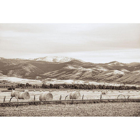 Montana Hayfield Black Modern Wood Framed Art Print with Double Matting by Schell, Jennie Marie