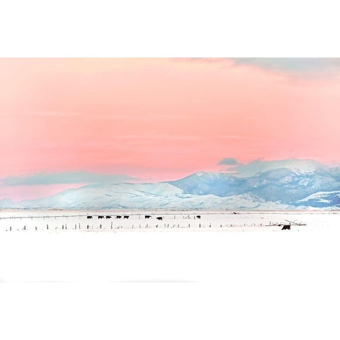 Montana Winter Sunset Black Modern Wood Framed Art Print with Double Matting by Schell, Jennie Marie