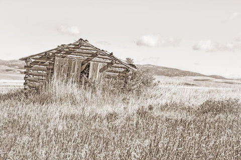 Old Log Cabin Sepia Black Ornate Wood Framed Art Print with Double Matting by Schell, Jennie Marie