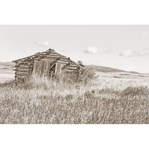 Old Log Cabin Sepia Black Modern Wood Framed Art Print with Double Matting by Schell, Jennie Marie