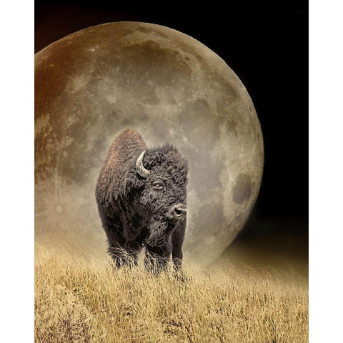 Buffalo Bison and Moon Gold Ornate Wood Framed Art Print with Double Matting by Schell, Jennie Marie