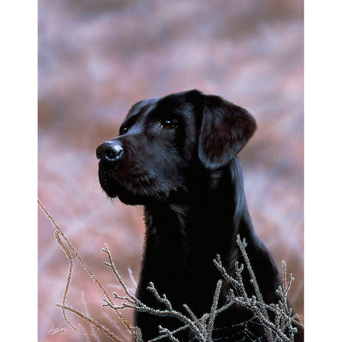 Js75-B Black Modern Wood Framed Art Print by Silver, John