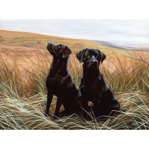 Js77-D Gold Ornate Wood Framed Art Print with Double Matting by Silver, John
