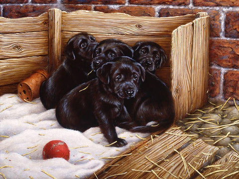Js67-A Black Ornate Wood Framed Art Print with Double Matting by Silver, John