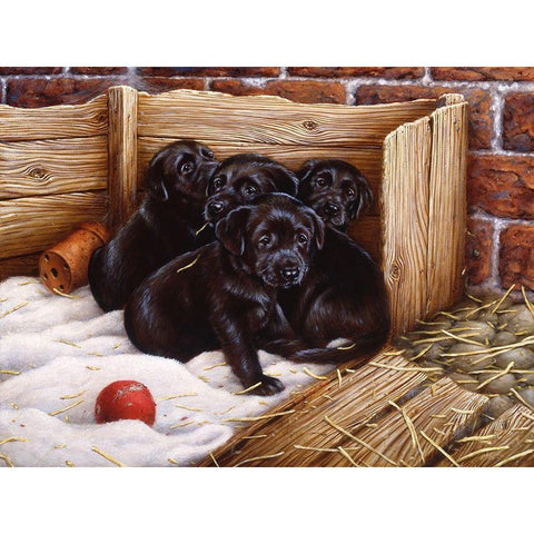 Js67-A Black Modern Wood Framed Art Print by Silver, John