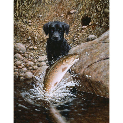 Js56-D Black Modern Wood Framed Art Print by Silver, John