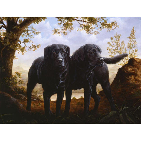 Js13-B Black Modern Wood Framed Art Print with Double Matting by Silver, John