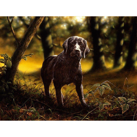 Js6-B Black Modern Wood Framed Art Print by Silver, John