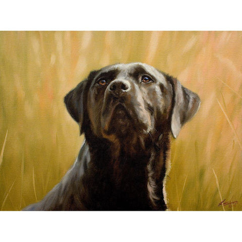 057b Black Modern Wood Framed Art Print by Silver, John