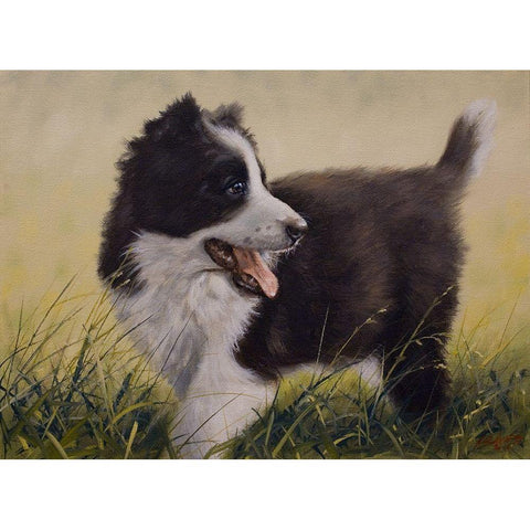 80 Black Modern Wood Framed Art Print by Silver, John