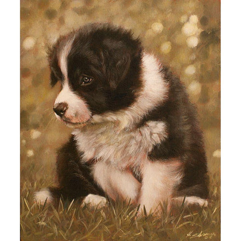 311 White Modern Wood Framed Art Print by Silver, John